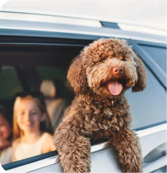 financial-options-card-img