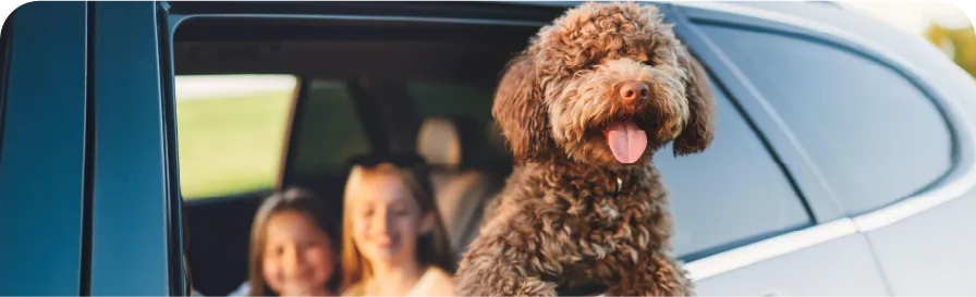 financial-options-card-img